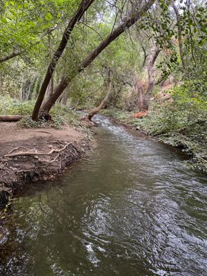 Los Gatos Flume Trail 3